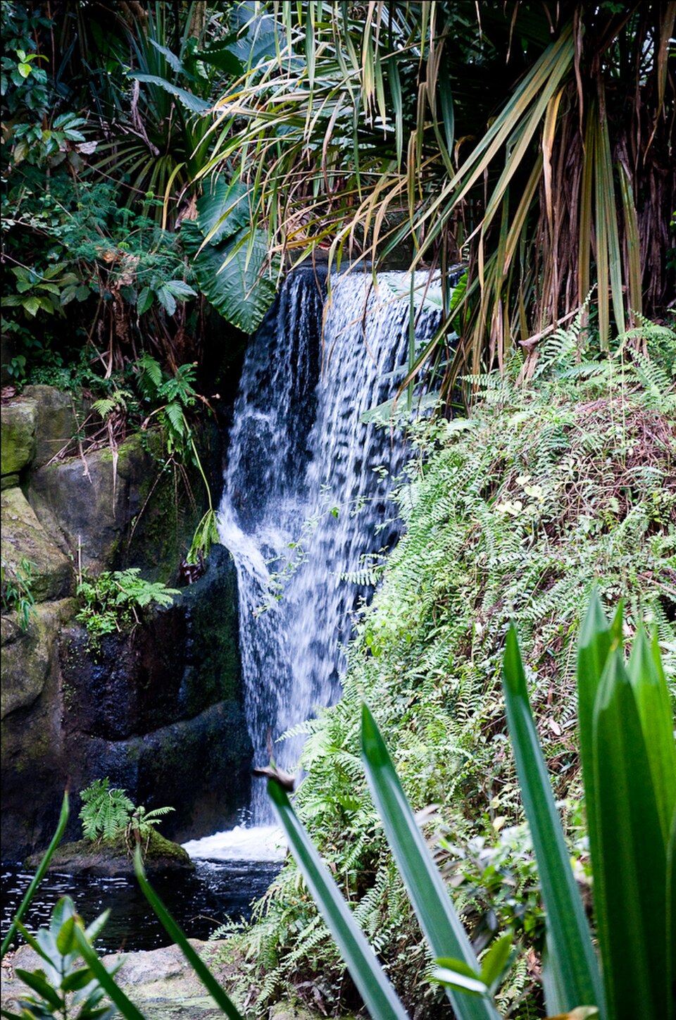 A photograph of Zürich Zoo