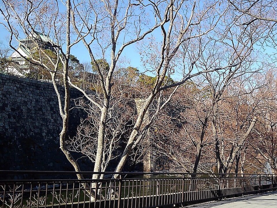A photograph of Osaka Castle