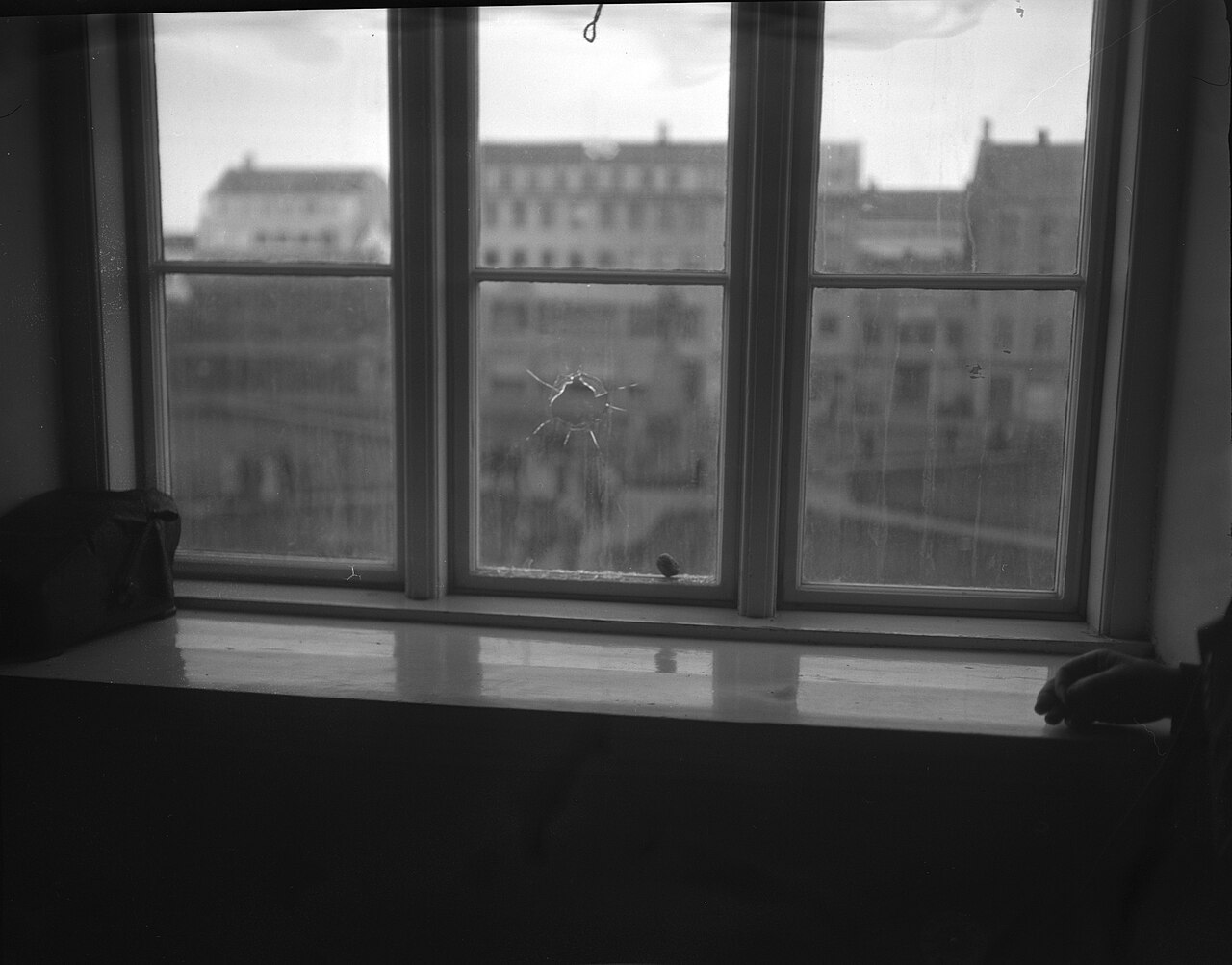 Althing Parliament House fotoğrafı
