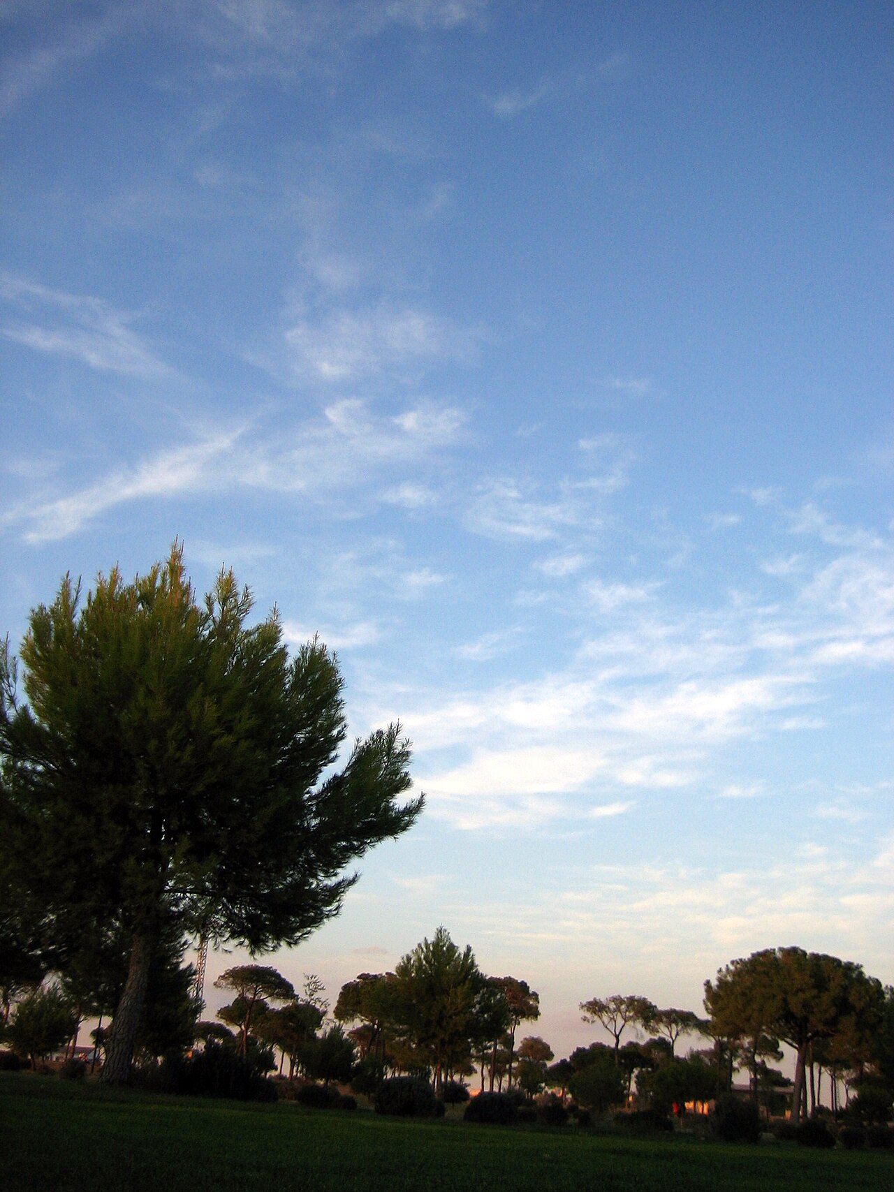 Parque de la 95