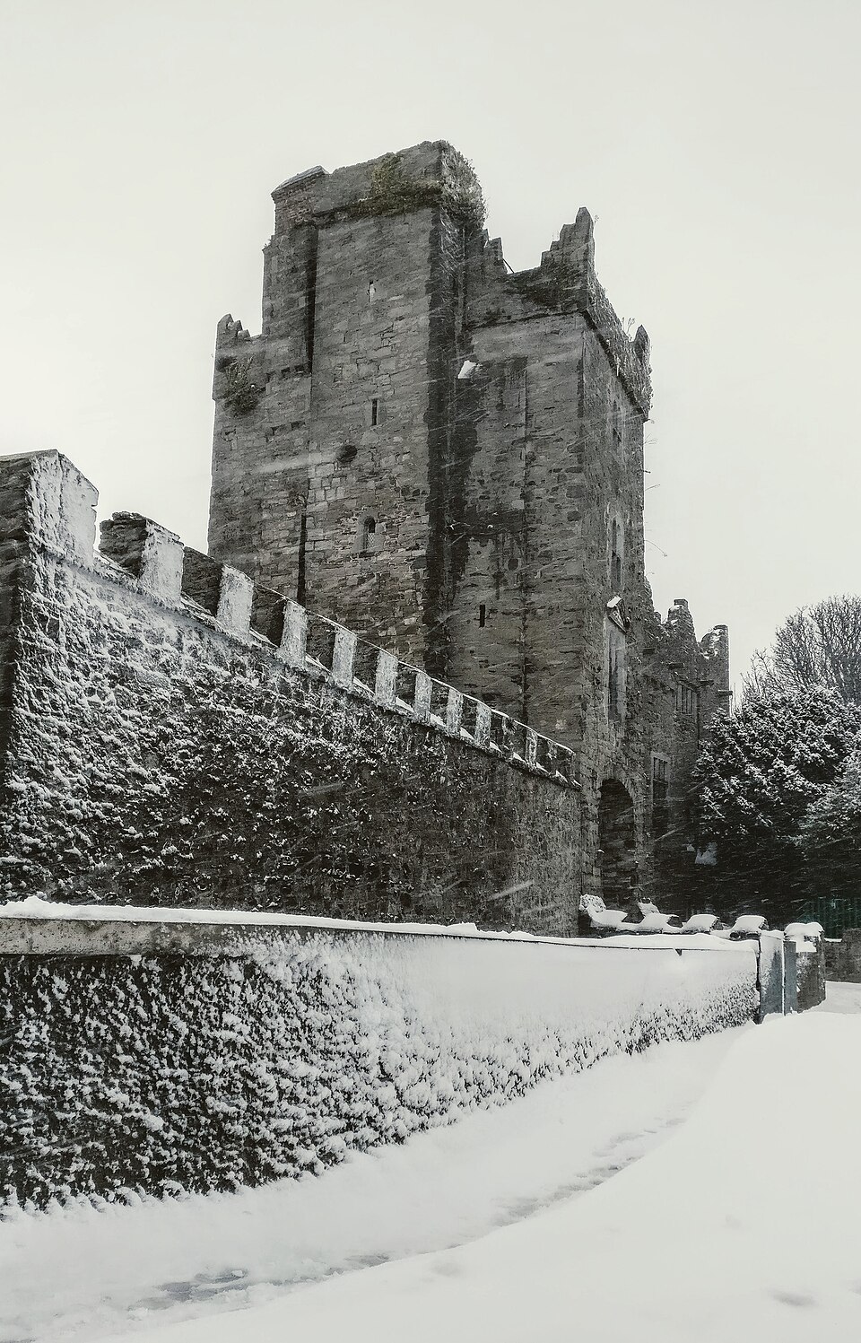 A photograph of Drimnagh Castle