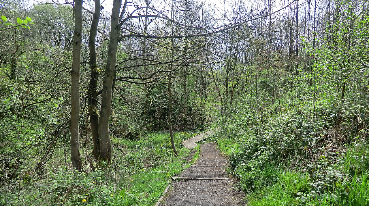 Broadhurst Park の写真