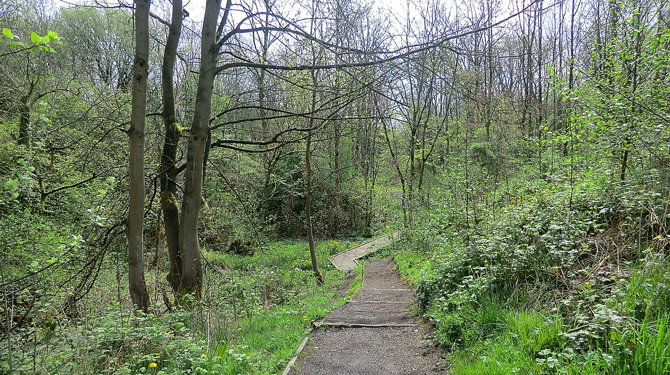 A photograph of Broadhurst Park