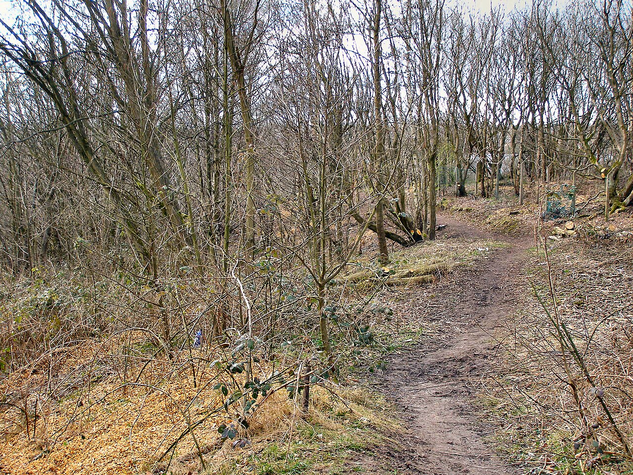 Drinkwater Park の写真