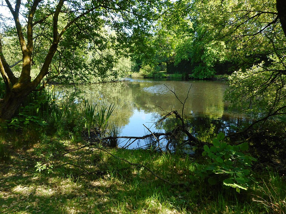 A photograph of Springburn Park