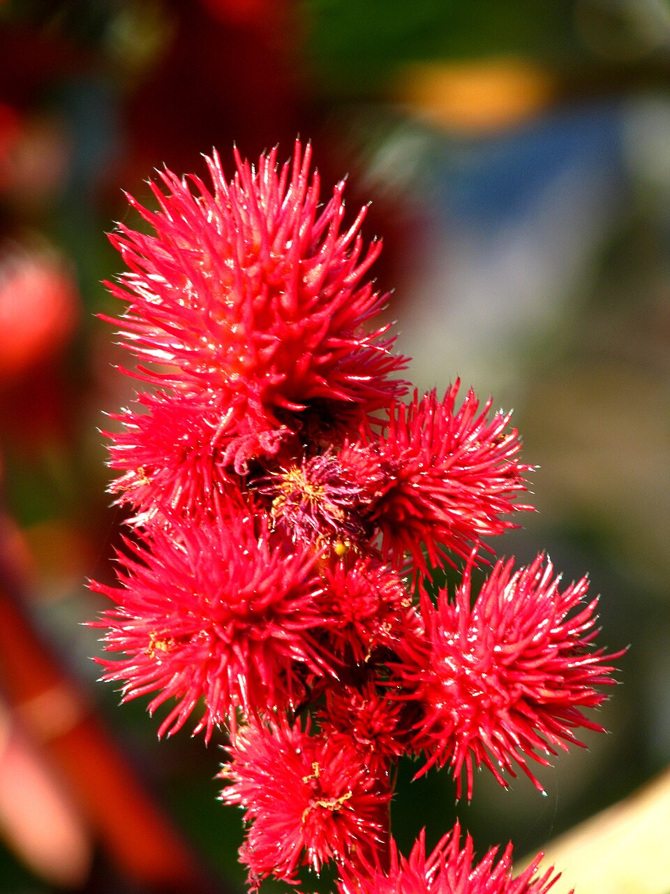 A photograph of Alter Botanischer Garten