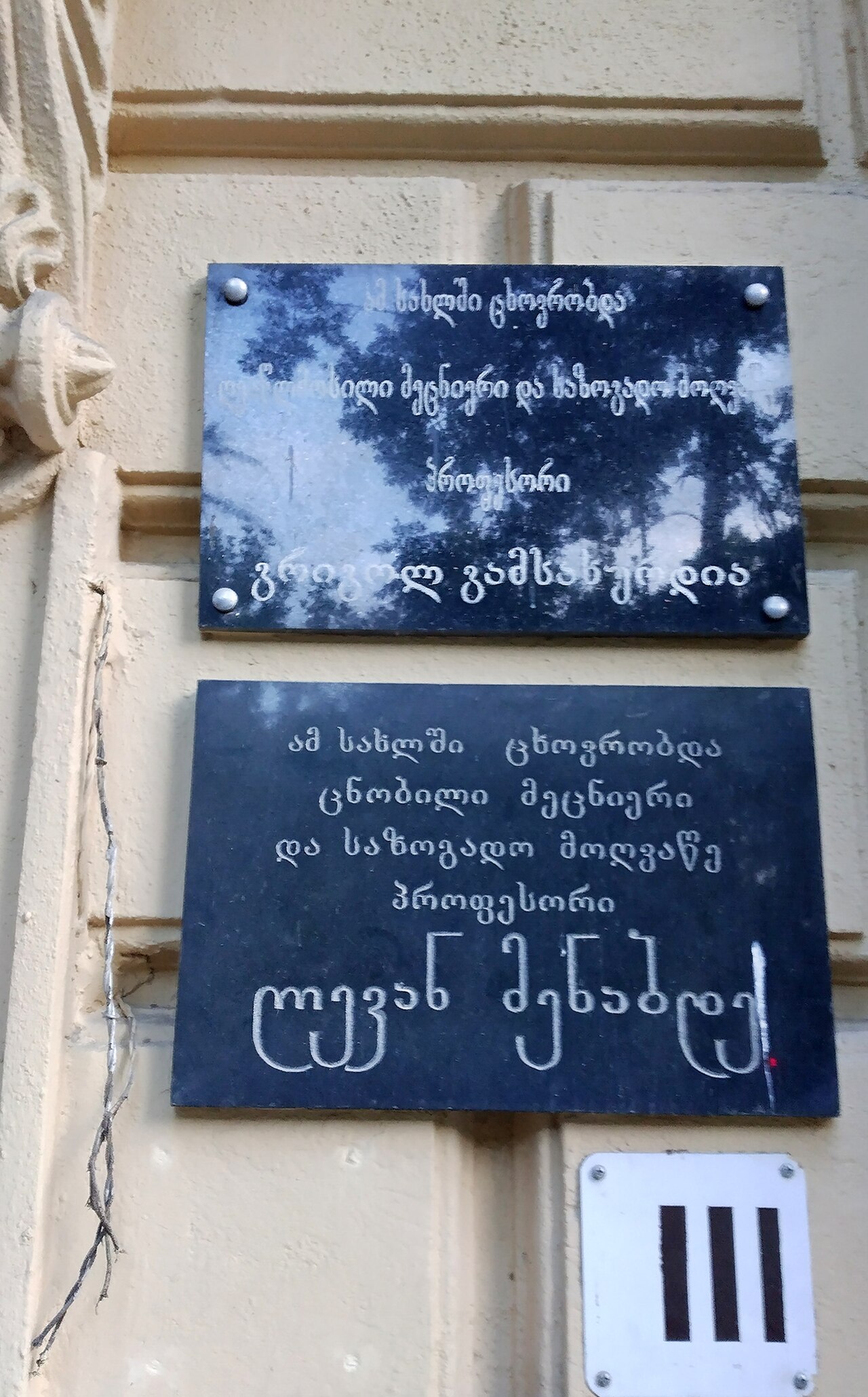 გრიგოლ გამსახურდია