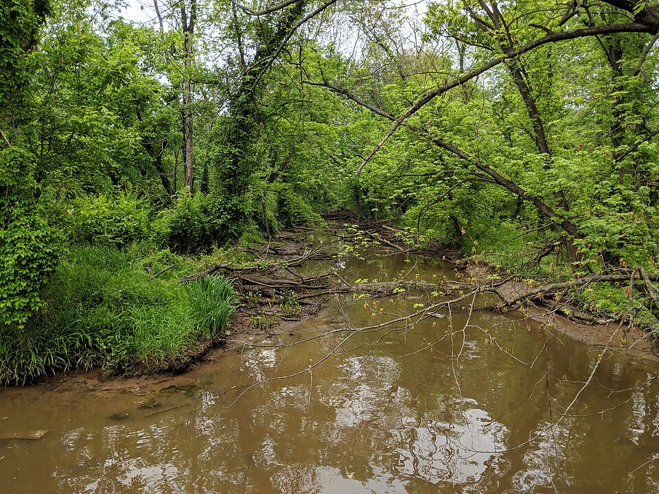 A photograph of Kenilworth Park and Aquatic Gardens