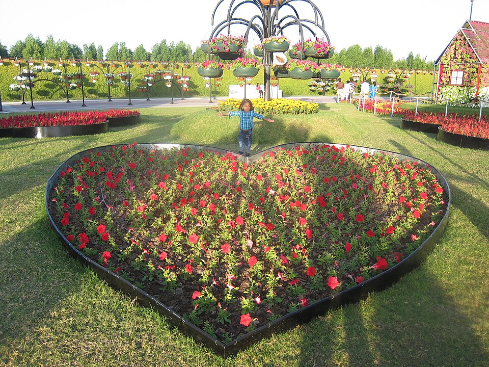 A photograph of Dubai Miracle Garden