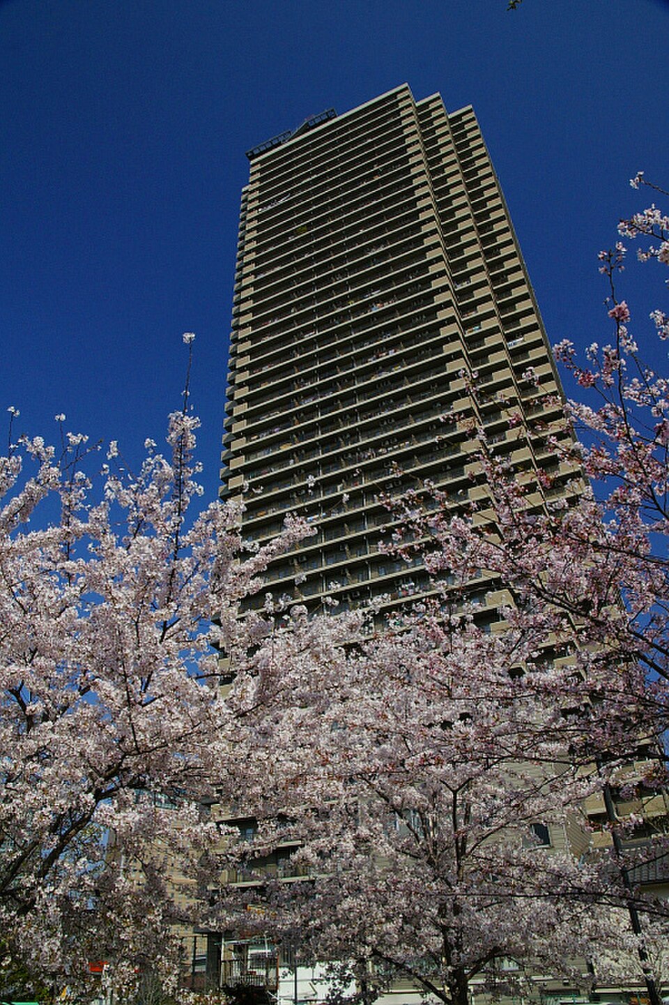 A photograph of Shimo-fukushima Park