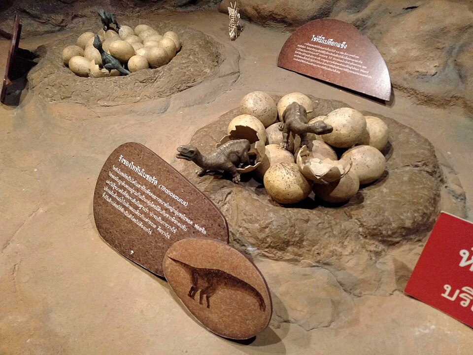 A photograph of Children's Discovery Museum