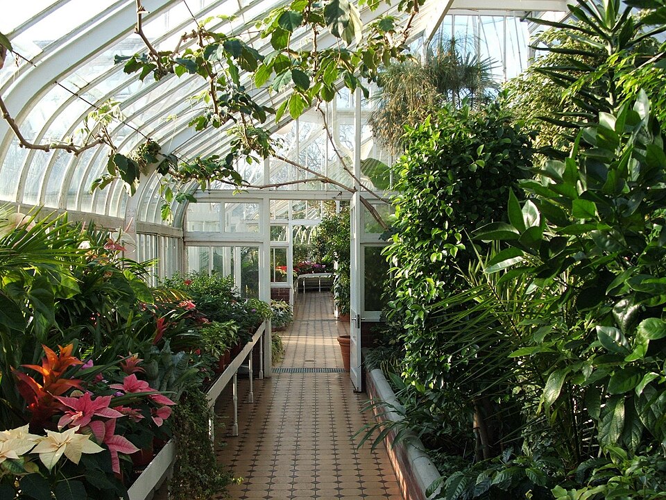 A photograph of Tollcross Park