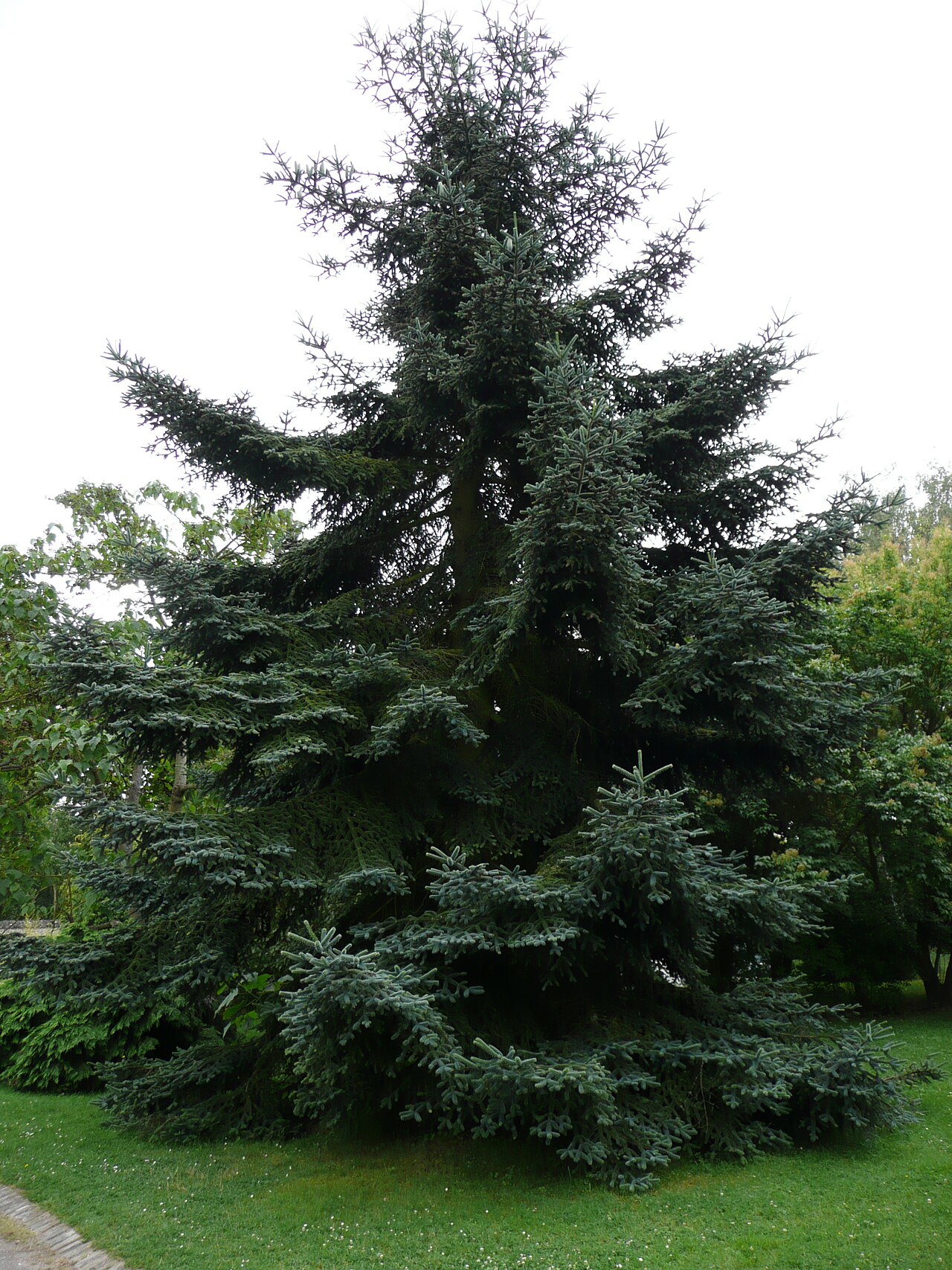 صورة Arboretum