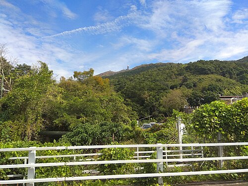 大帽山 Tai Mo Shan