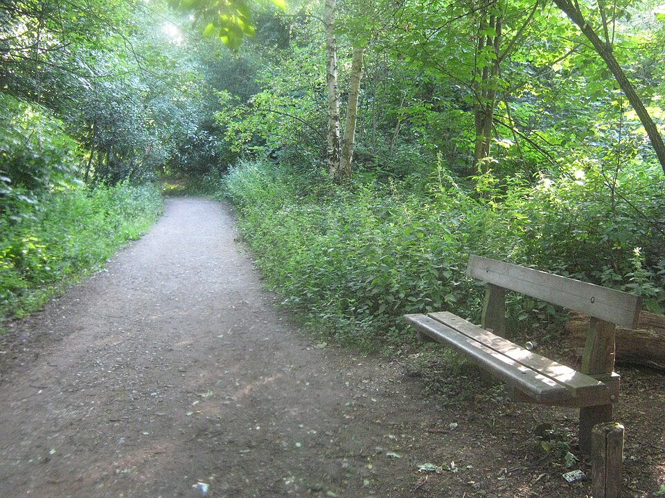 A photograph of Scadbury Park