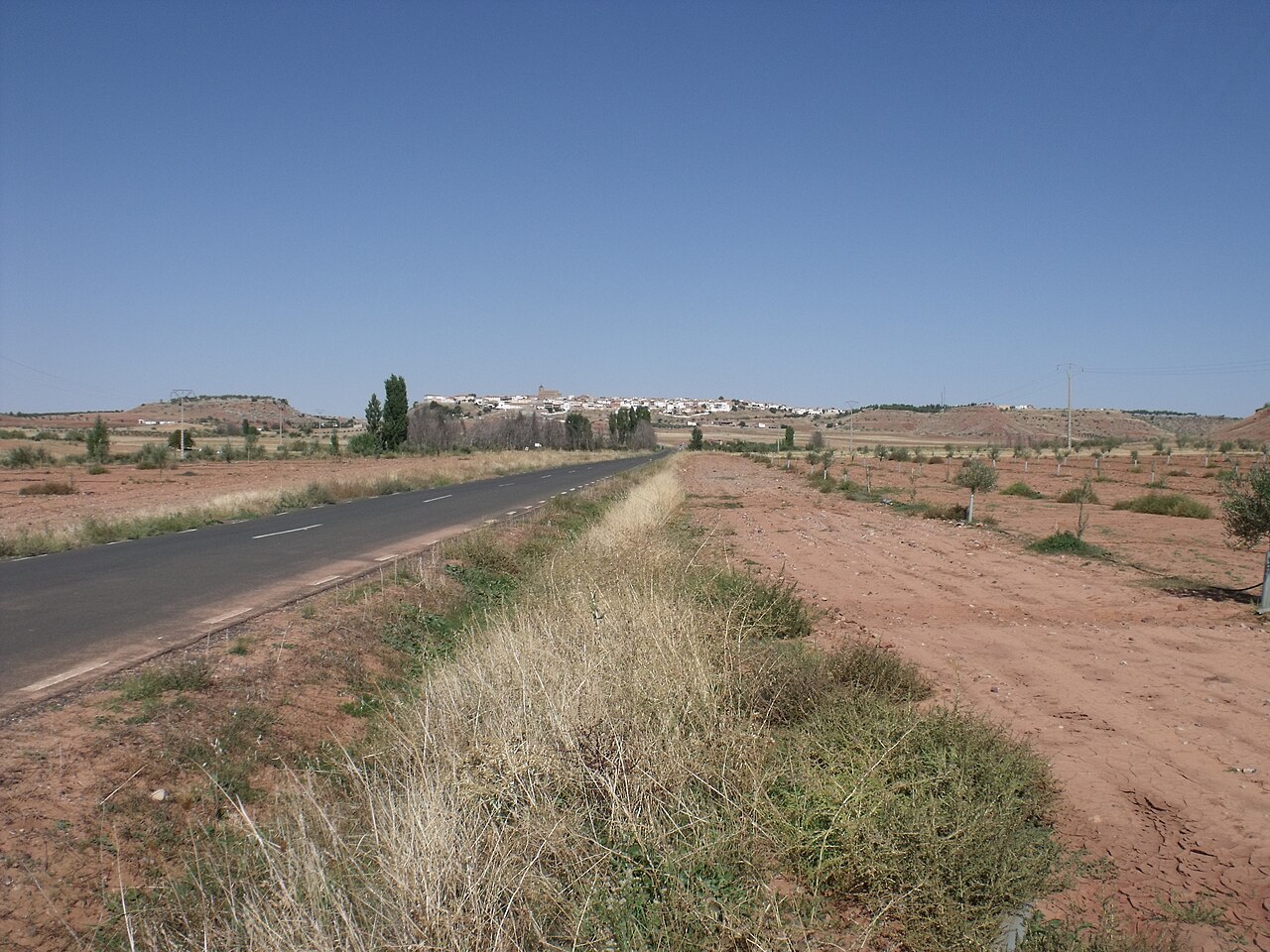 Livraria Almedina fotoğrafı