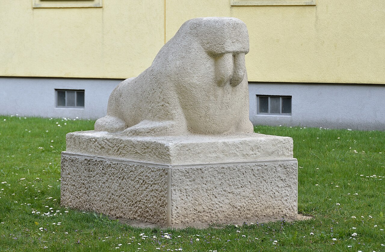 صورة Seelöwe