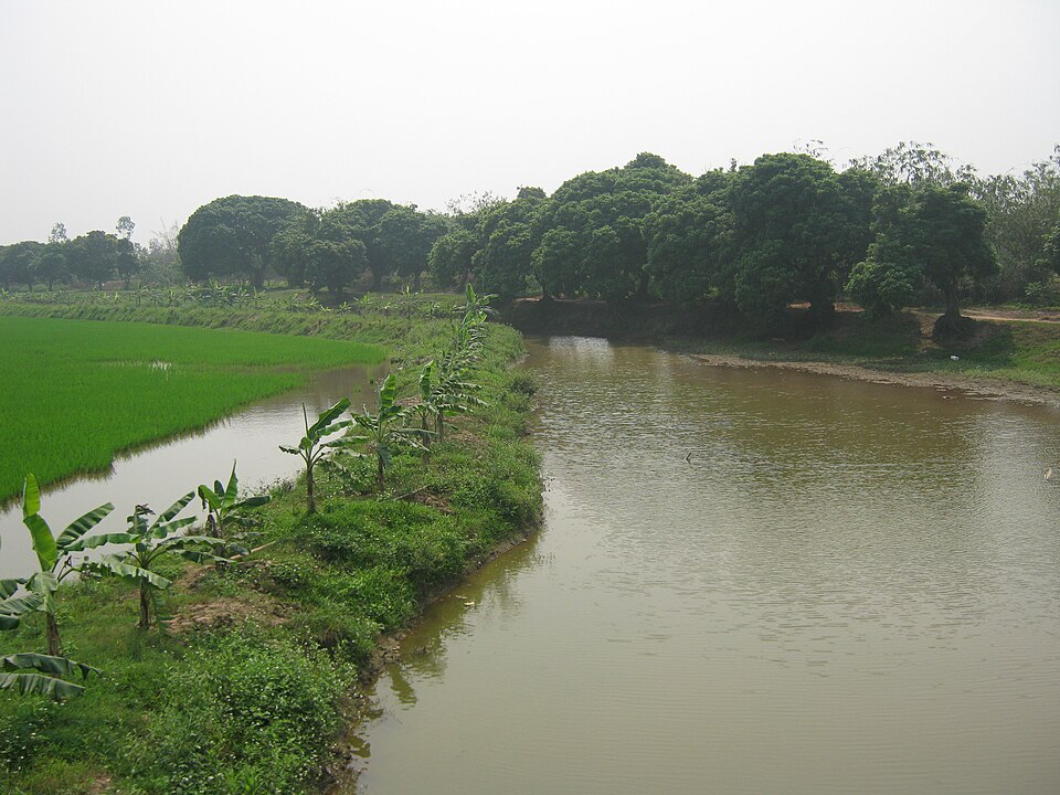 A photograph of Delta Reserve