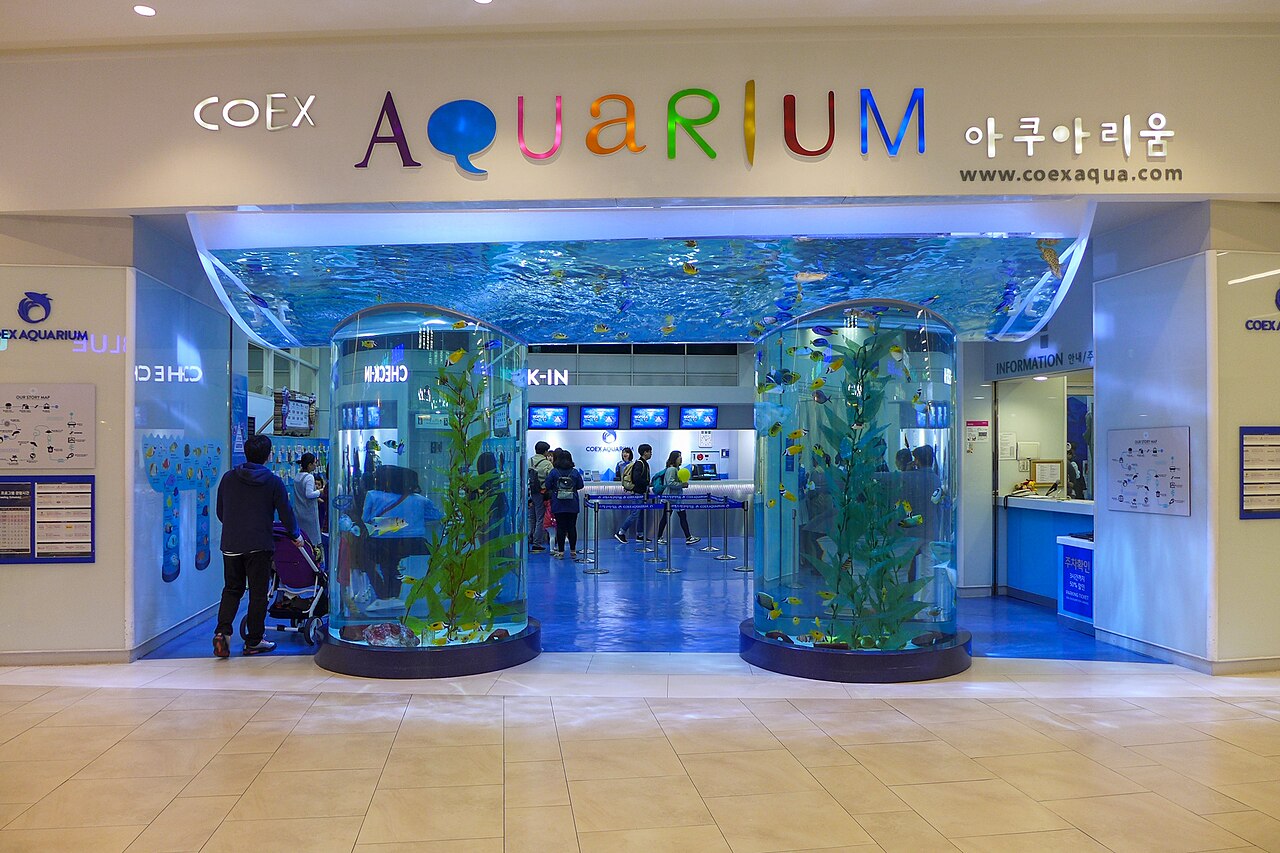 코엑스 아쿠아리움 (COEX Aquarium)