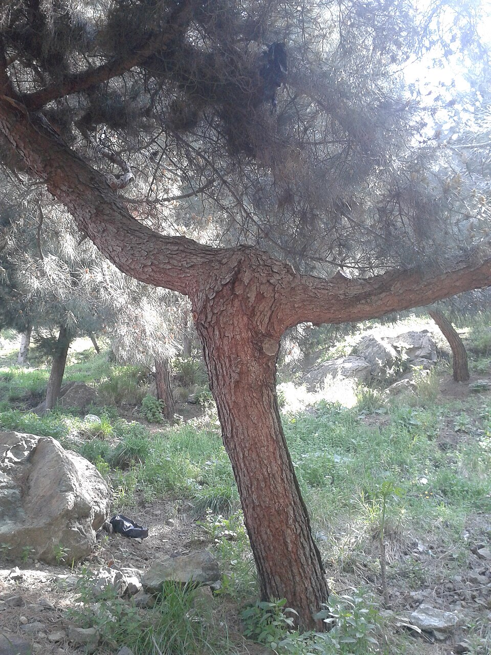 A photograph of Mount Sipylus