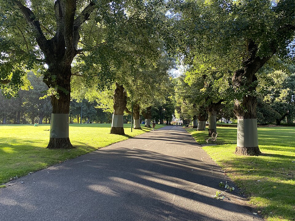 A photograph of Carlton Gardens