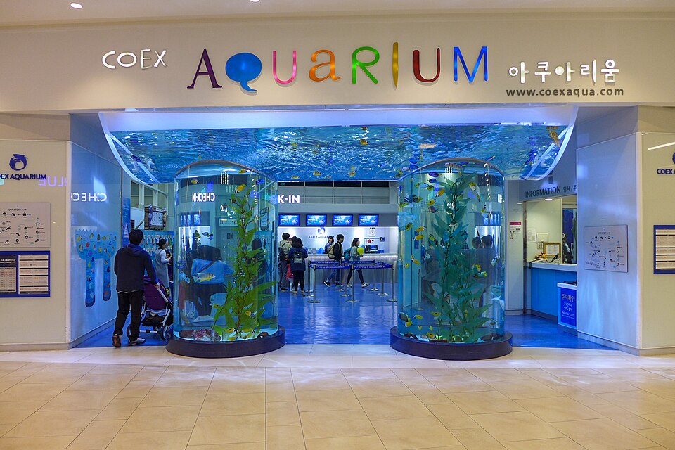 A photograph of COEX Aquarium