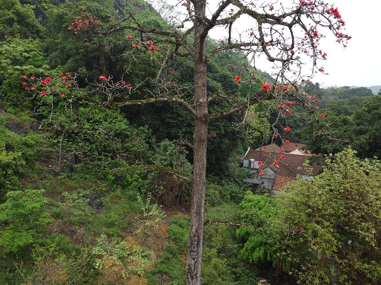 Chùa Trầm