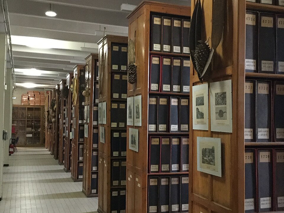A photograph of herbarium
