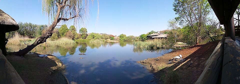 A photograph of Austin Reserve