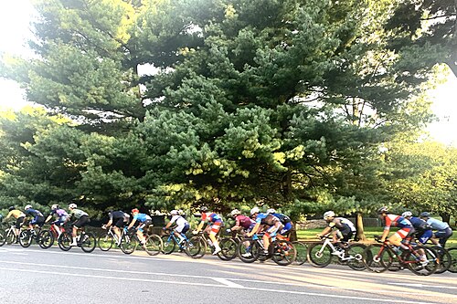 Prospect Park