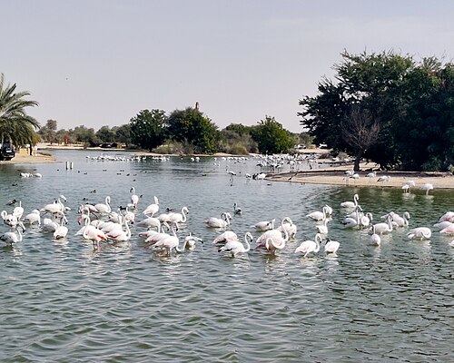 Al Qudra Lakes