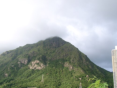 飛鵝山 Kowloon Peak