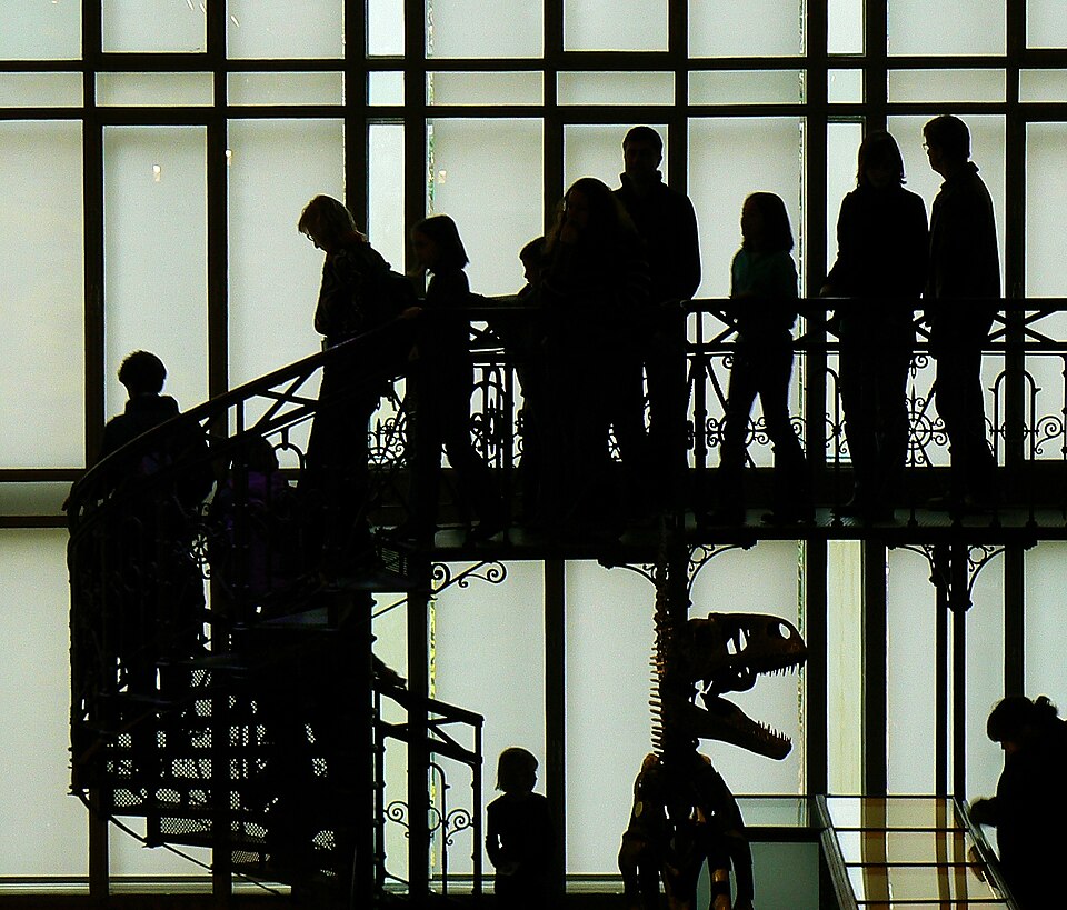 A photograph of Museum of Natural Sciences of Belgium