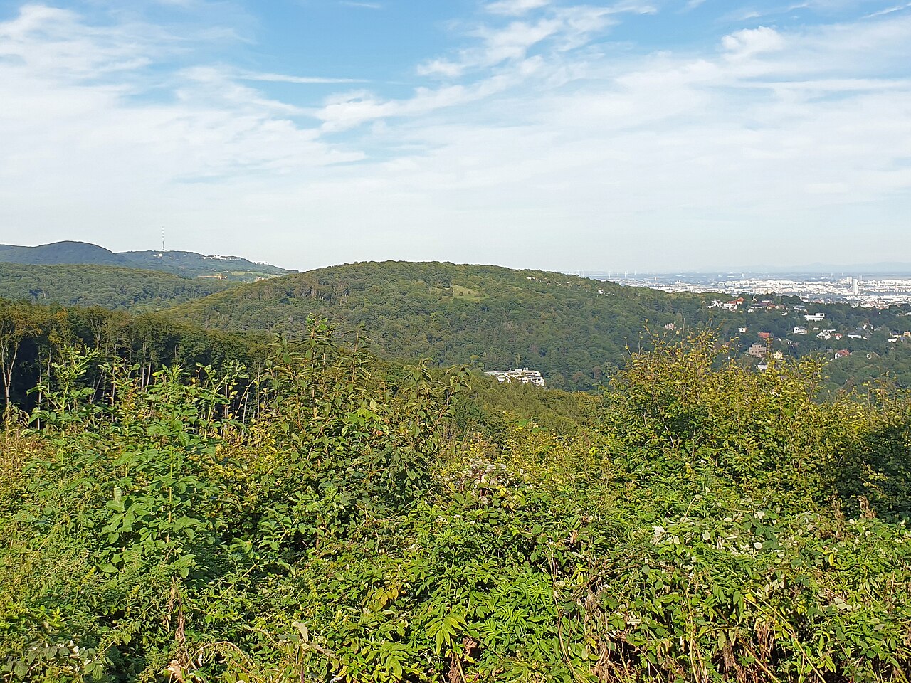 Ein Foto von Schafberg