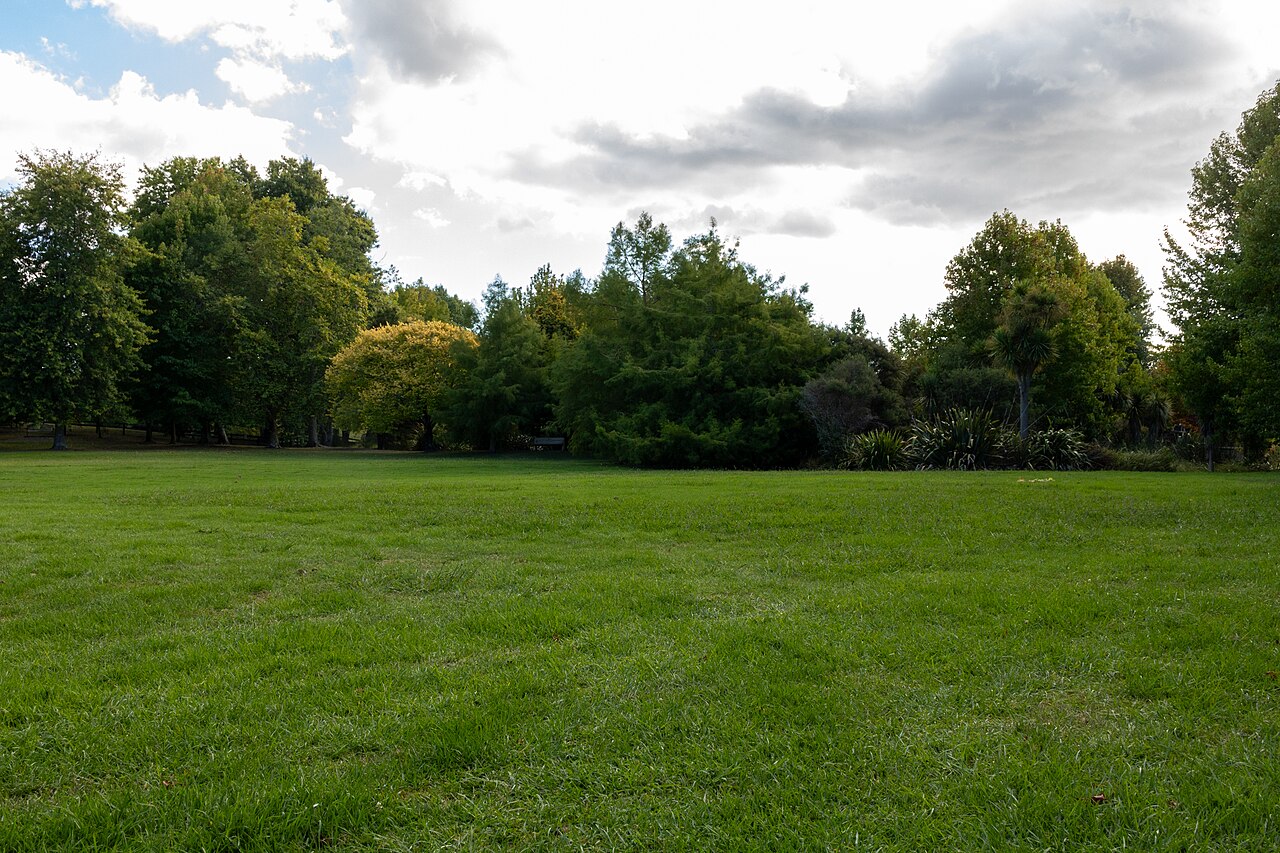 A photograph of Coatesville Recreation Reserve