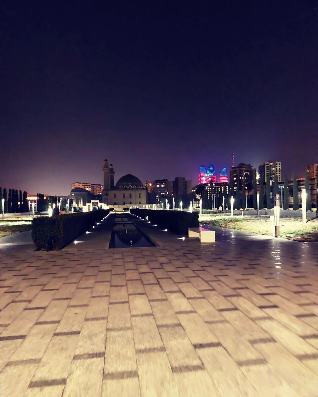 صورة Flame Towers