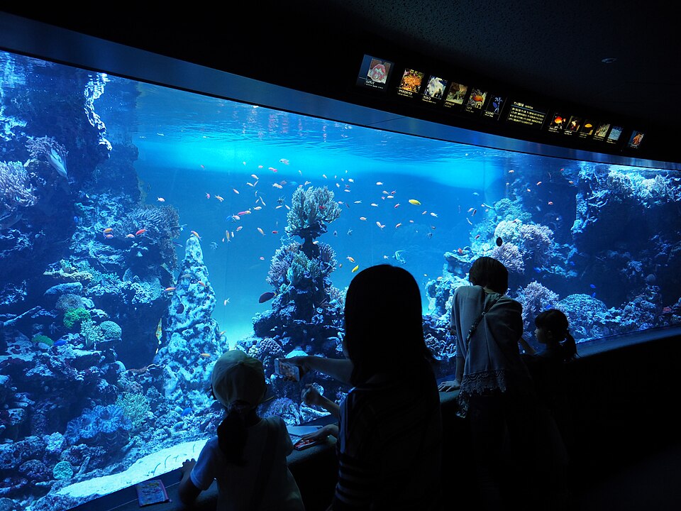 A photograph of Sunshine Aquarium