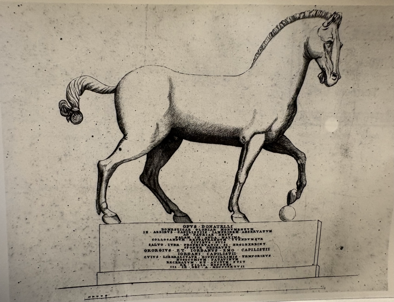 A photograph of Wooden Horse