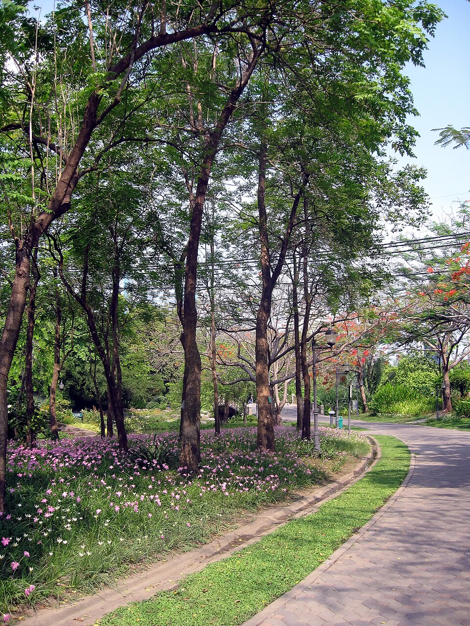 A photograph of Queen Sirikit Park