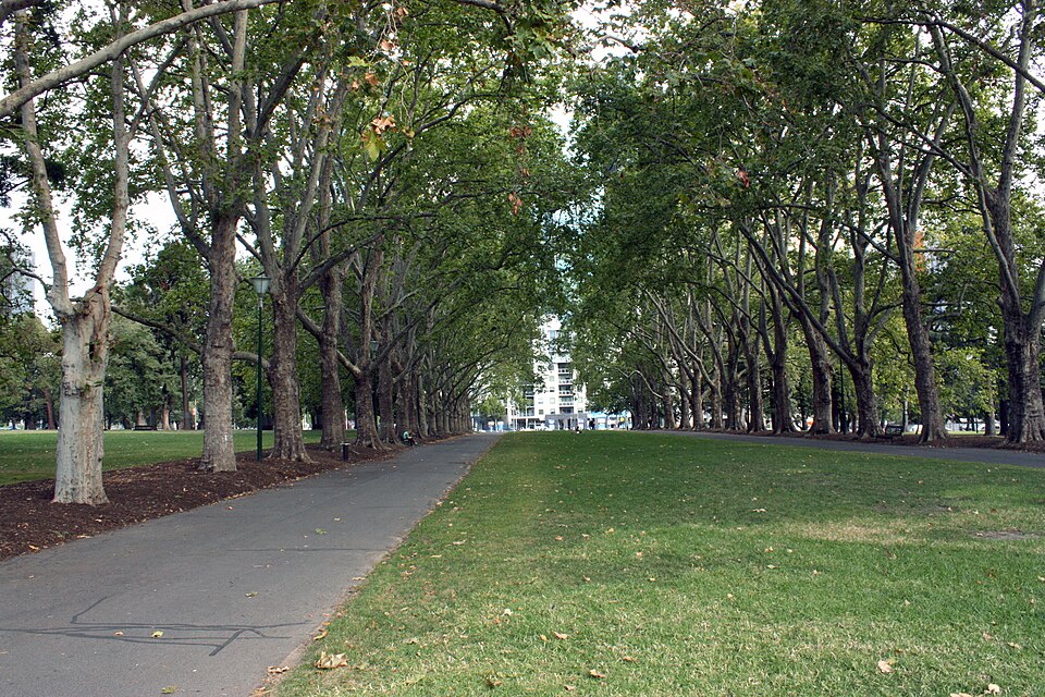 A photograph of Carlton Gardens