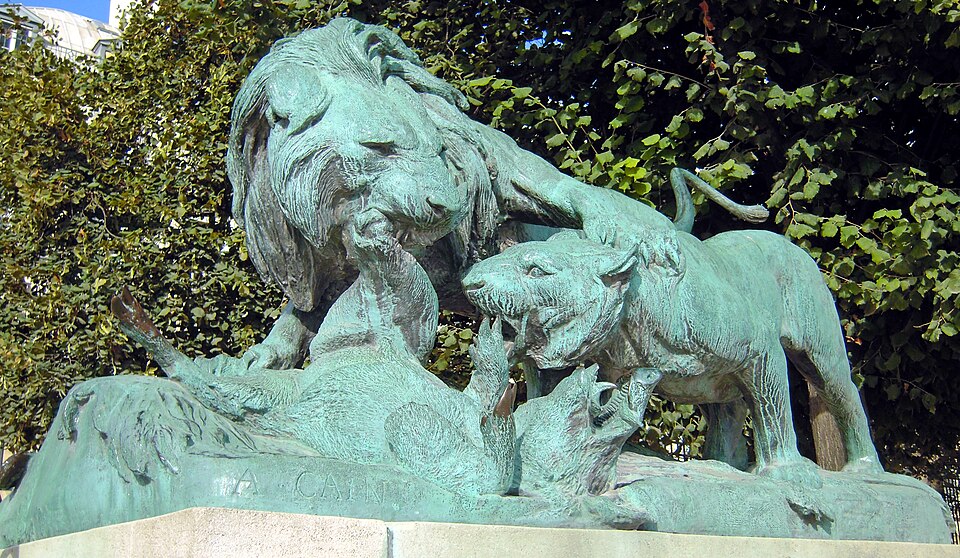 A photograph of Lion and Lioness Fighting over a Boar