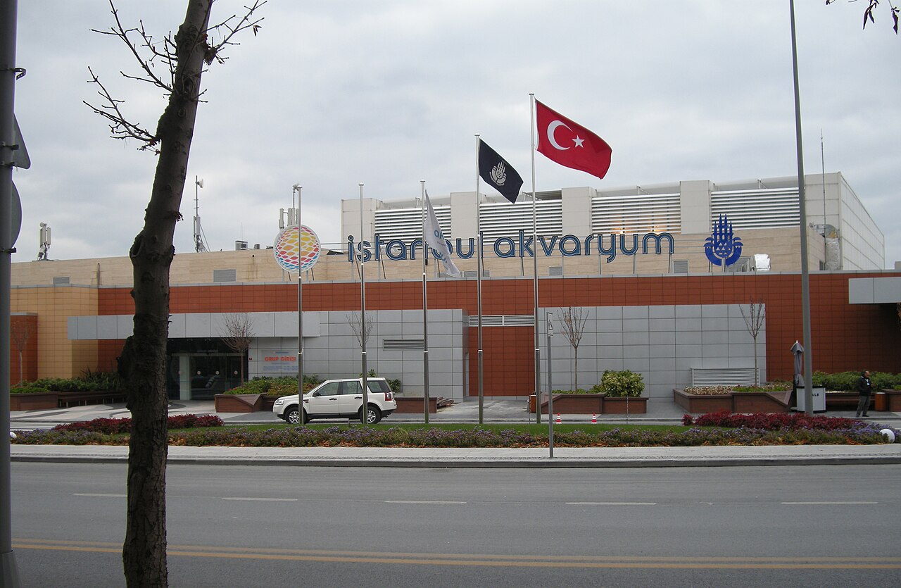 İstanbul Akvaryum