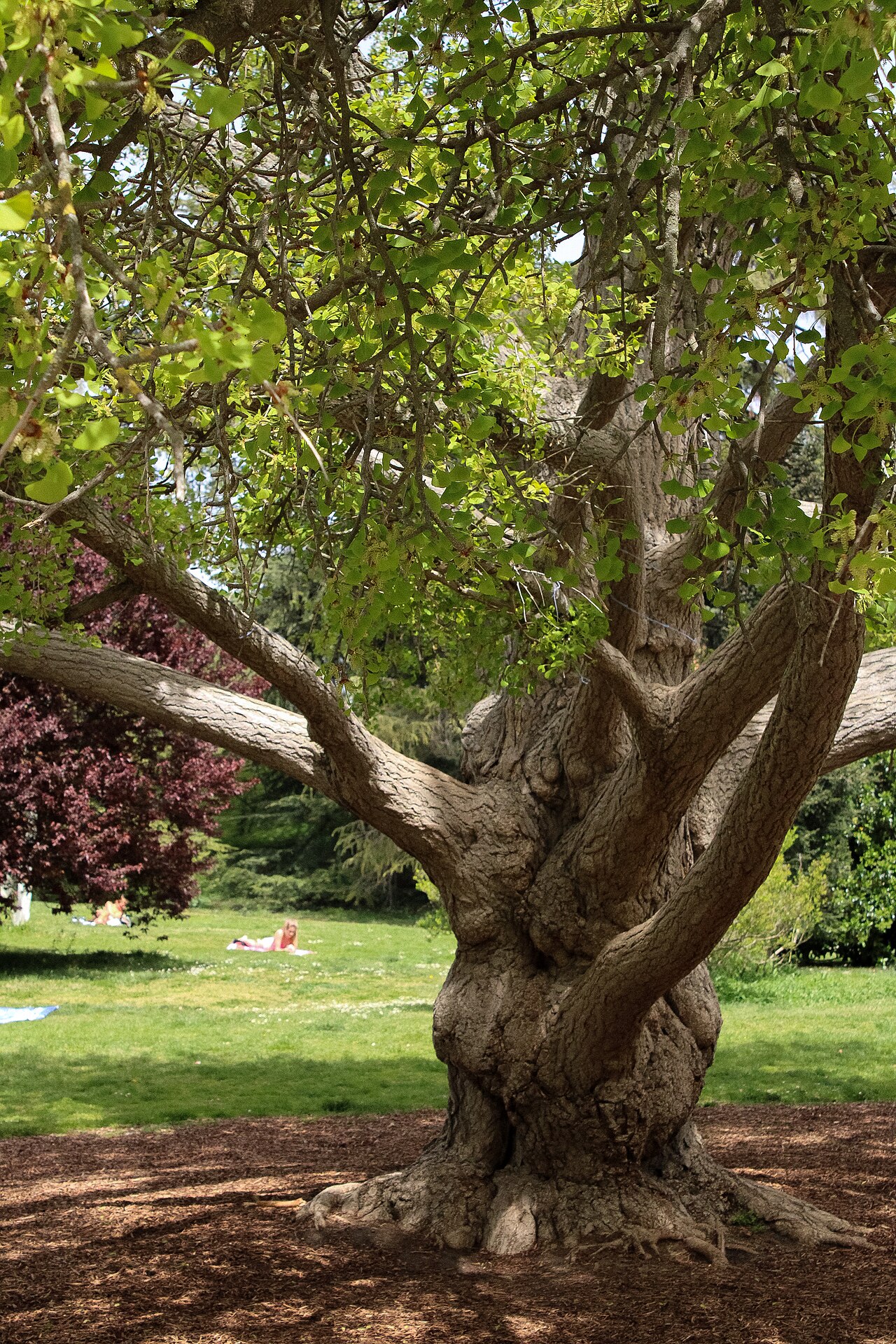 Parque del Oeste fotoğrafı