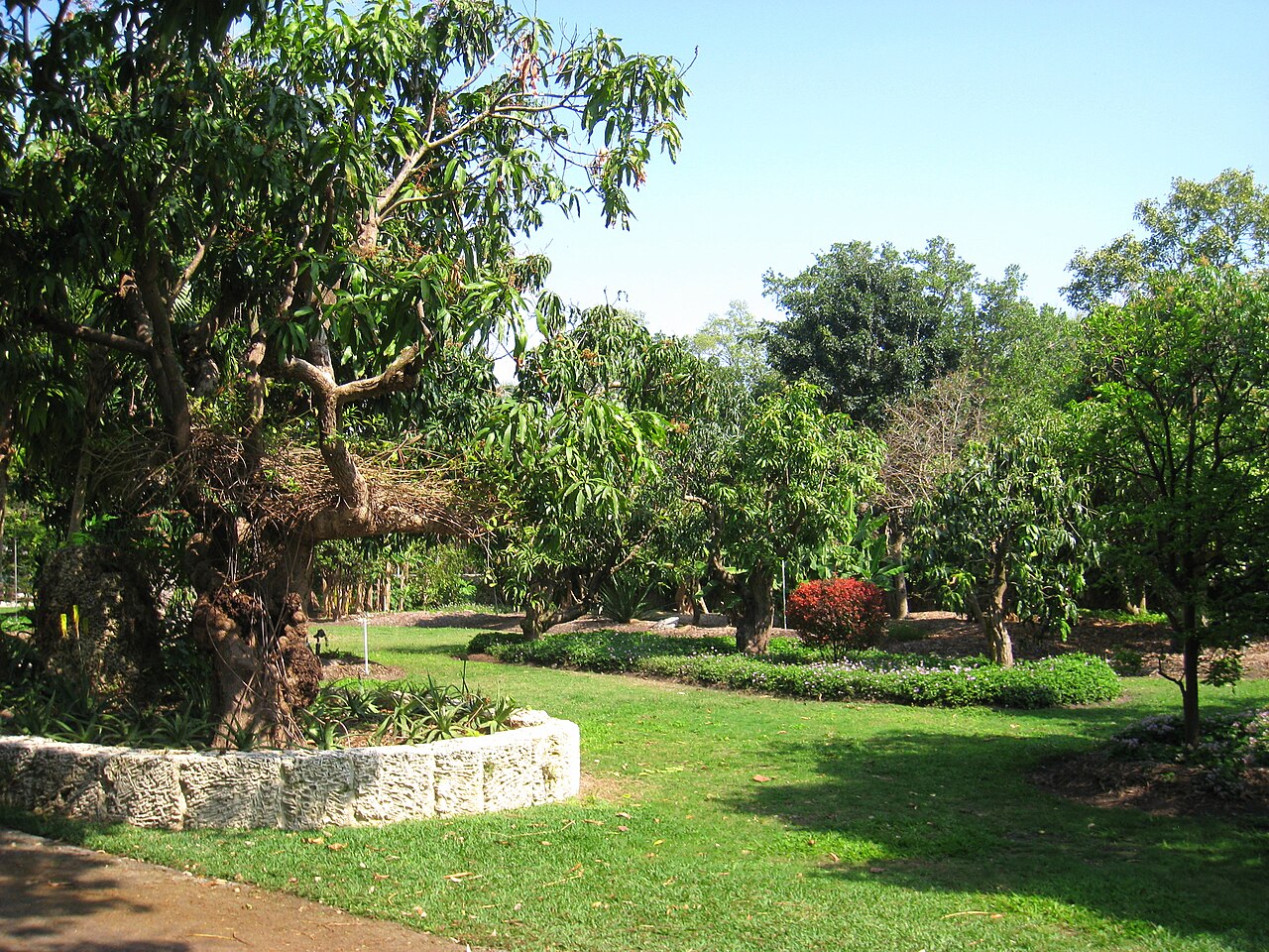 The Kampong의 사진