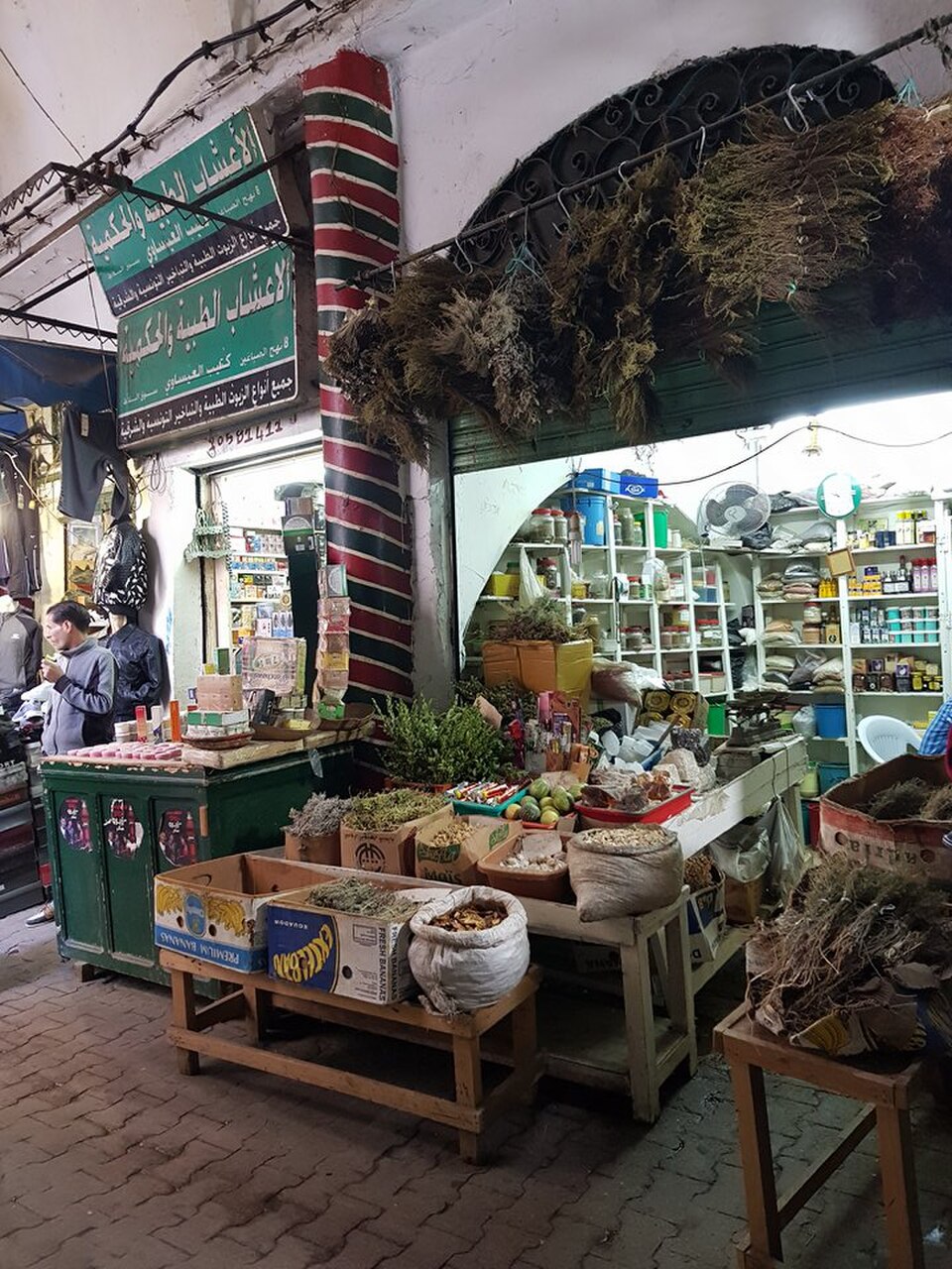 A photograph of Plant Souk