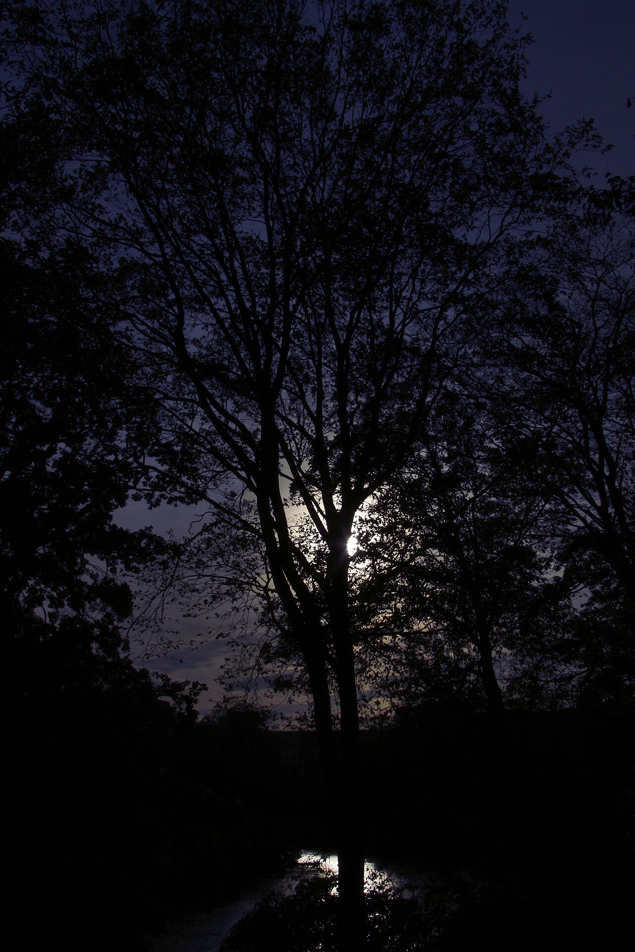 Une photographie de Ørstedsparken