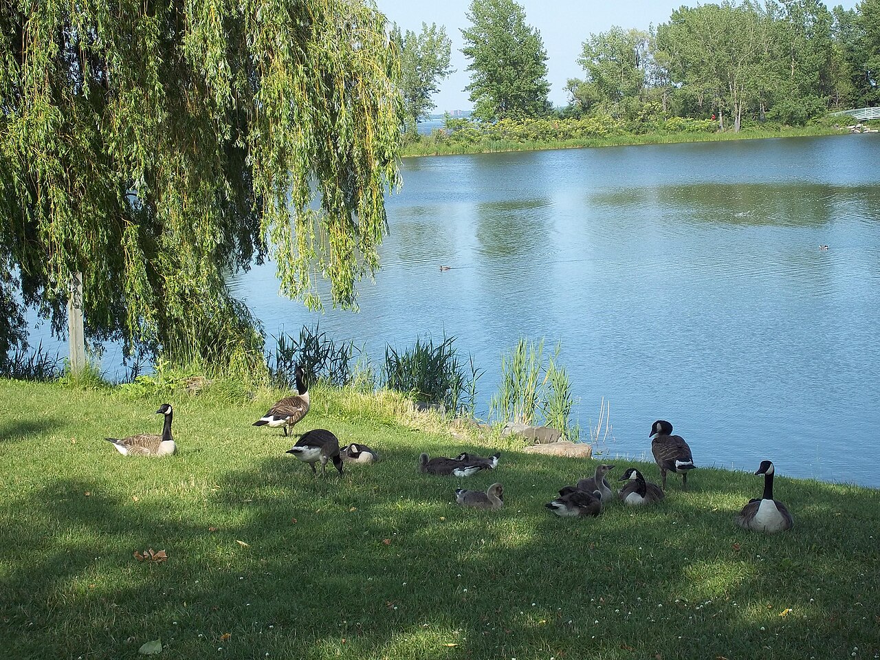 Parc régional des Rapides
