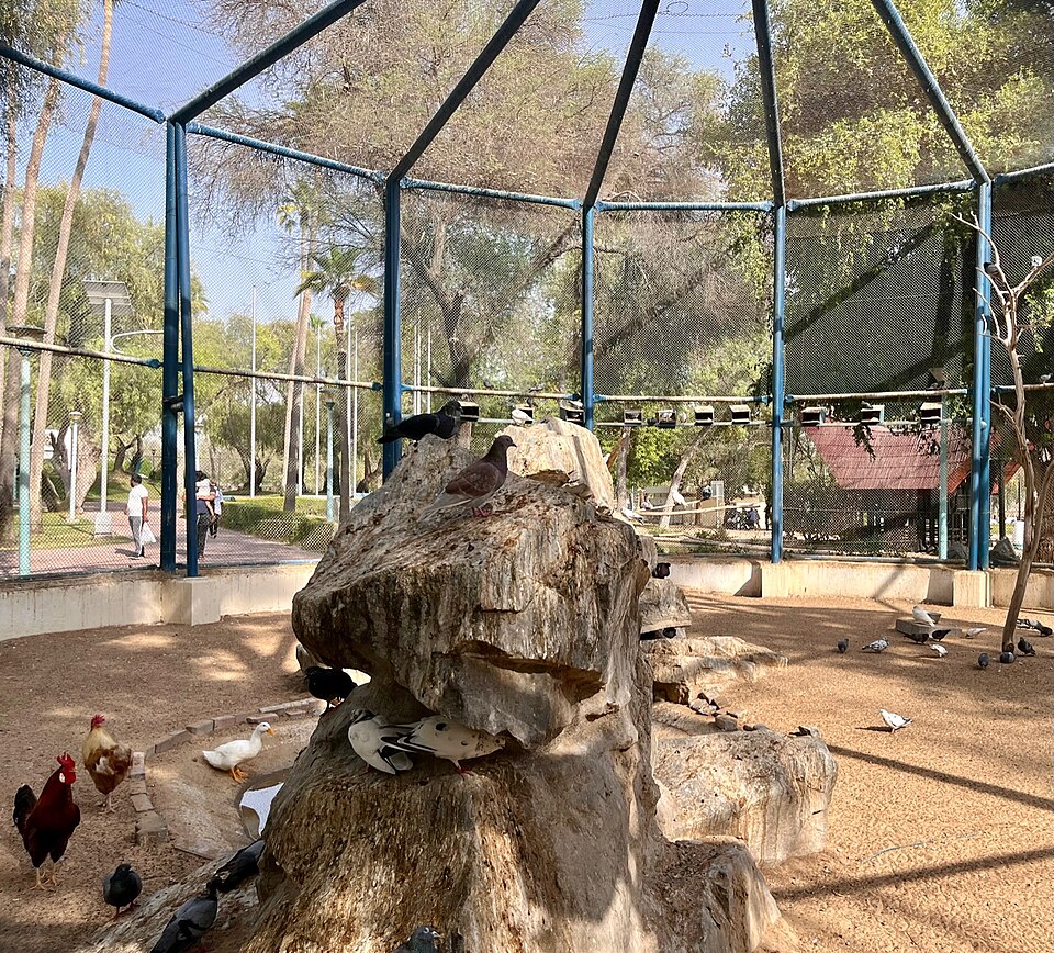 A photograph of Mushrif Park