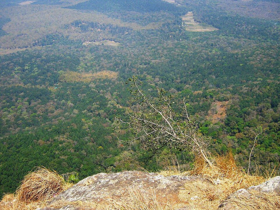 A photograph of Scenic View