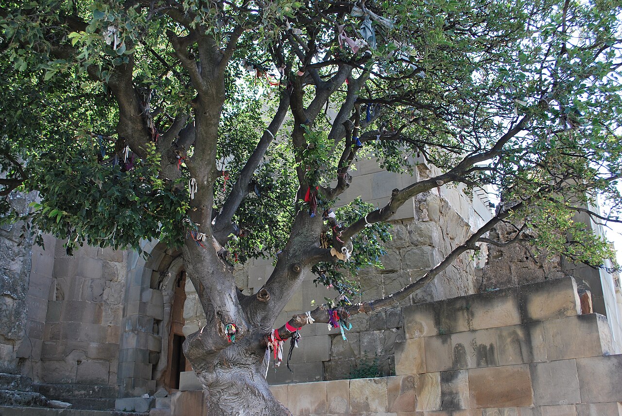 A photograph of Jvari